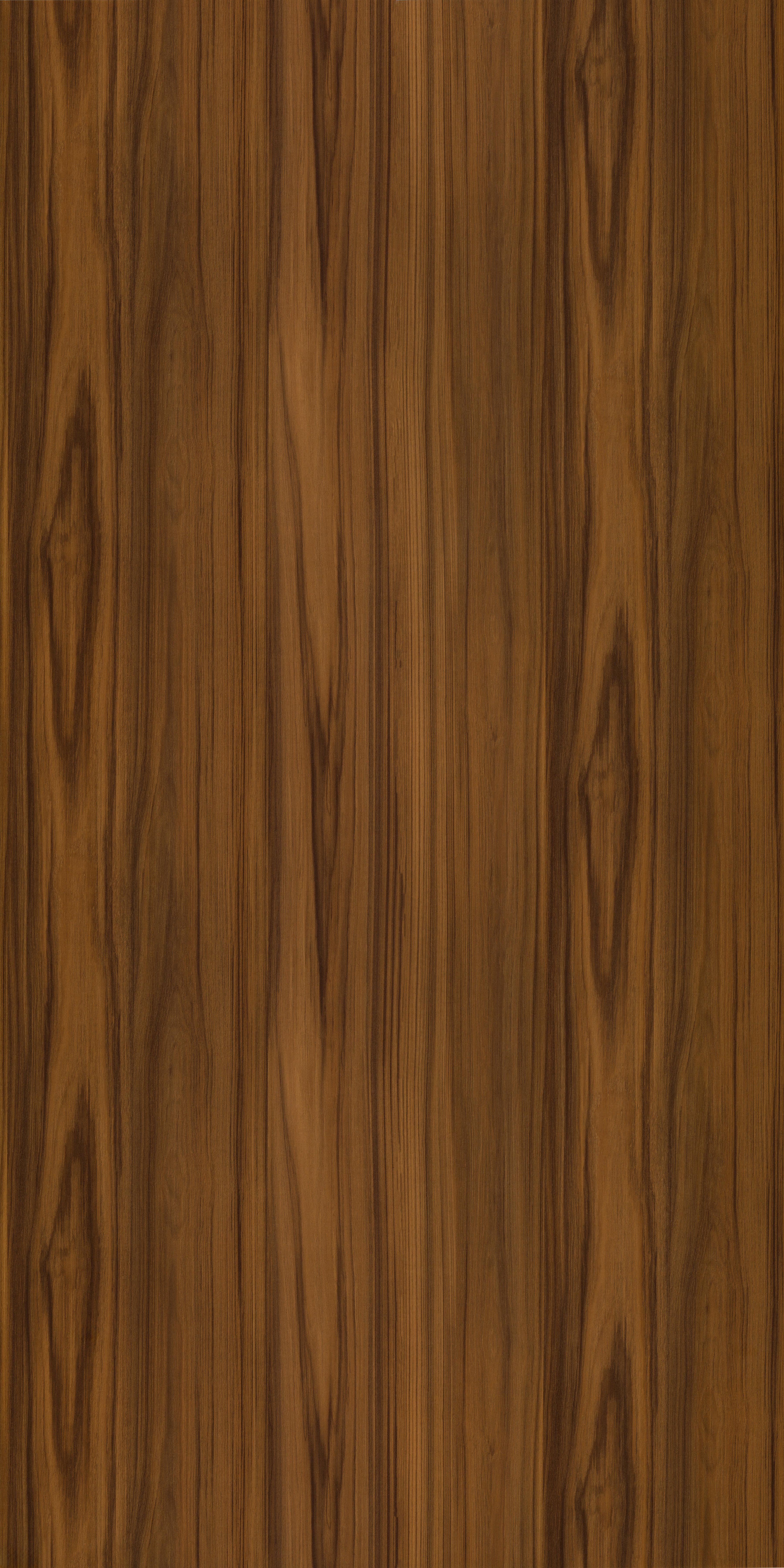 9205 BURNT WOOD 